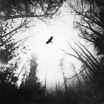 Amazing abstract photographs by Zewar Fadhil