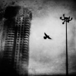 Amazing abstract photographs by Zewar Fadhil