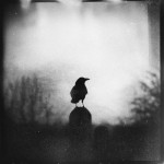 Amazing abstract photographs by Zewar Fadhil