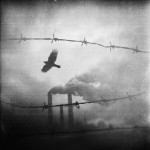 Amazing abstract photographs by Zewar Fadhil