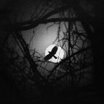 Amazing abstract photographs by Zewar Fadhil