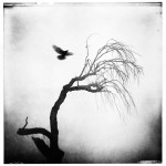 Amazing abstract photographs by Zewar Fadhil