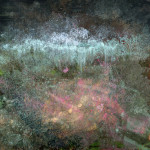Abstract Paintings by Peggy