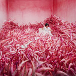 Photographs by Jee Young Lee