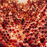 Photographs by Jee Young Lee