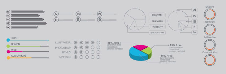 ResumeInfographic-07