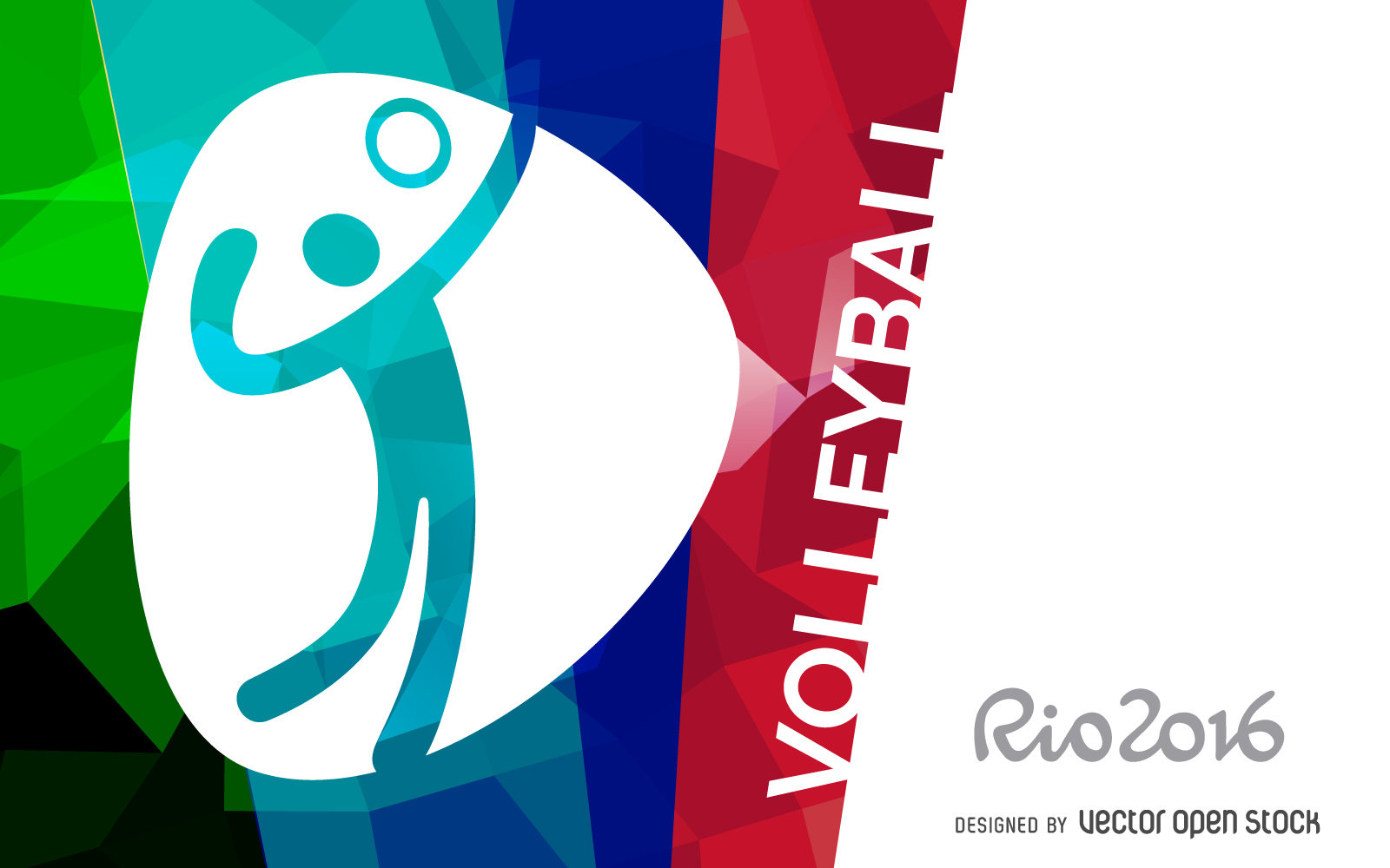 rio-2016-volleyball-banner