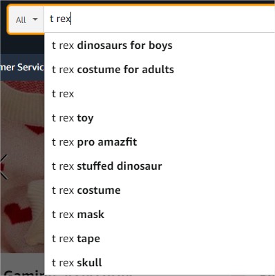 Amazon search box